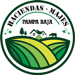 José Miguel